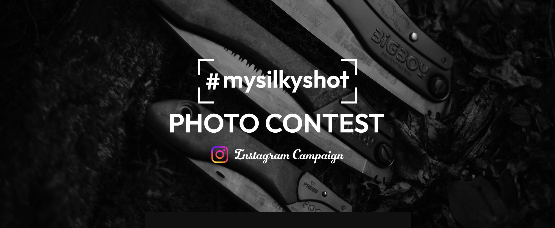 GOMBOY 40th Anniversary