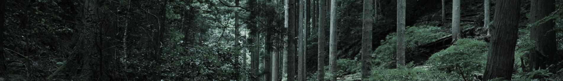 GOMBOY 40th Anniversary